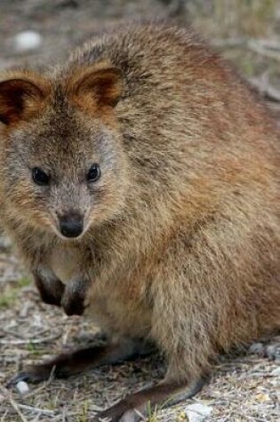 Cover of My Favorite Animal, Quokka Journal