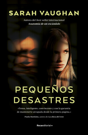 Book cover for Pequeños desastres/ Little Disasters