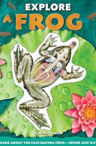 Cover of Explore a Frog