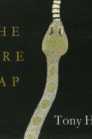 Cover of The Fire Gap