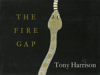 Book cover for The Fire Gap