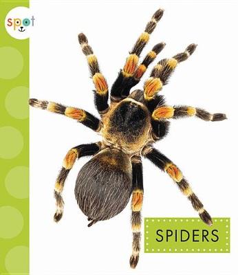 Cover of Spiders