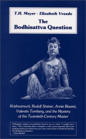 Book cover for The Bodhisattva Question