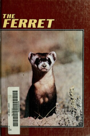 Cover of Ferret