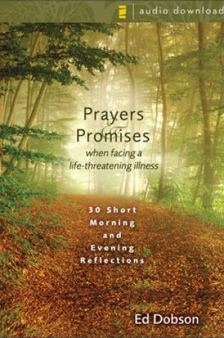 Cover of Prayers and Promises When Facing a Life-Threatening Illness