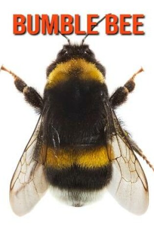 Cover of Bumble Bee