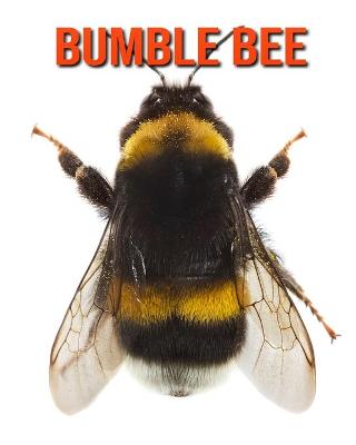 Book cover for Bumble Bee