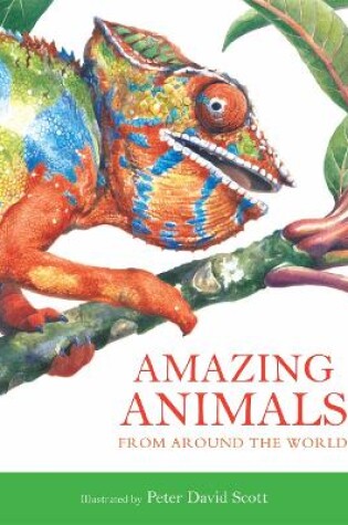 Cover of Amazing Animals