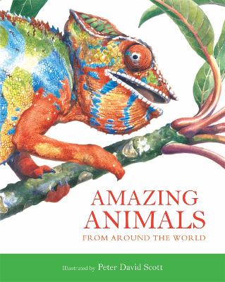 Book cover for Amazing Animals