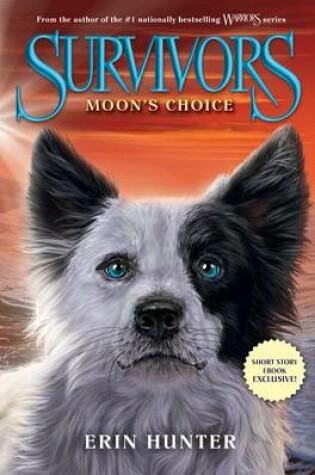 Cover of Moon's Choice