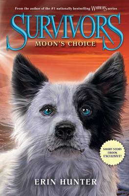Cover of Moon's Choice