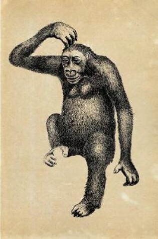 Cover of Troglodytes Gorilla
