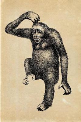 Book cover for Troglodytes Gorilla