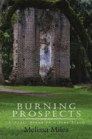 Cover of Burning Prospects