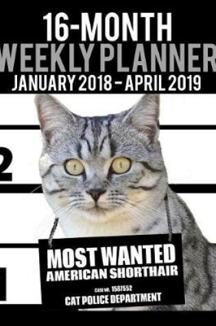 Cover of 2018-2019 Weekly Planner - Most Wanted American Shorthair