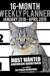 Book cover for 2018-2019 Weekly Planner - Most Wanted American Shorthair