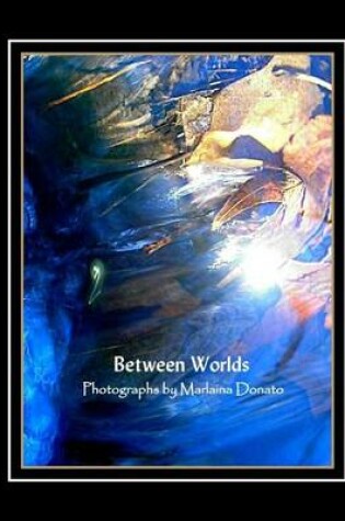 Cover of Between Worlds