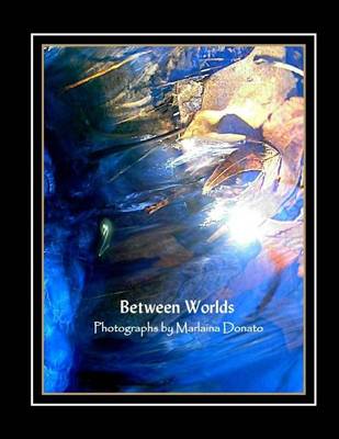 Book cover for Between Worlds