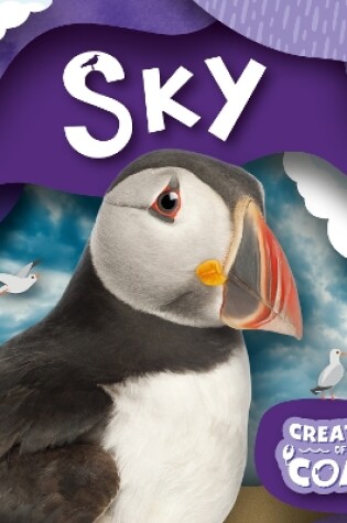 Cover of Sky