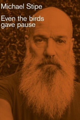 Cover of Michael Stipe: Even the birds gave pause