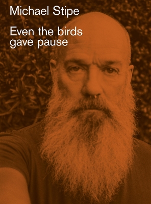 Book cover for Michael Stipe: Even the birds gave pause