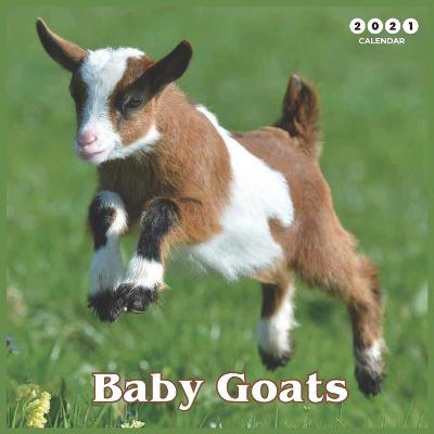 Book cover for Baby Goats 2021 calendar