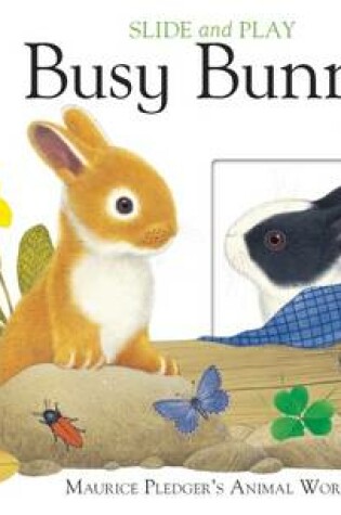 Cover of Busy Bunny