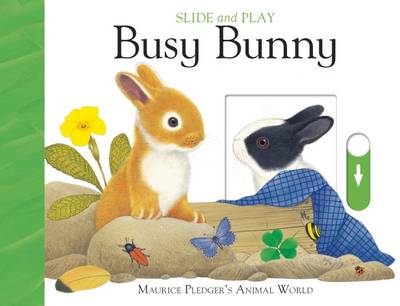 Book cover for Busy Bunny