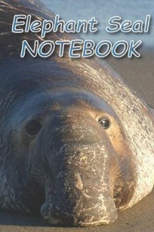 Cover of Elephant Seal NOTEBOOK