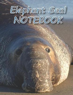 Book cover for Elephant Seal NOTEBOOK