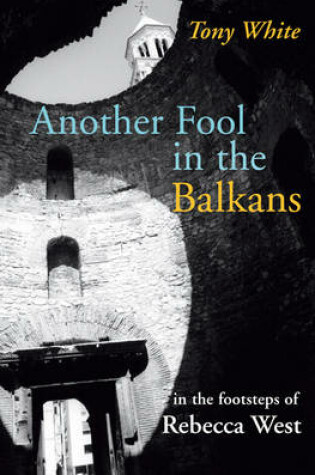 Cover of Another Fool in the Balkans