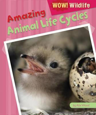 Book cover for Amazing Animal Life Cycles