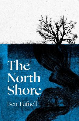 Book cover for The North Shore