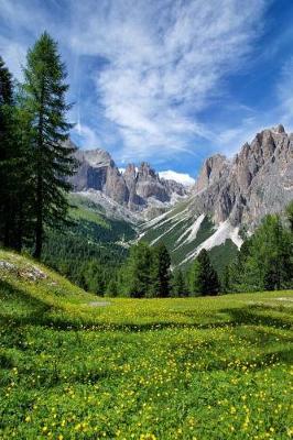 Book cover for The Alps of Italy at Springtime Journal