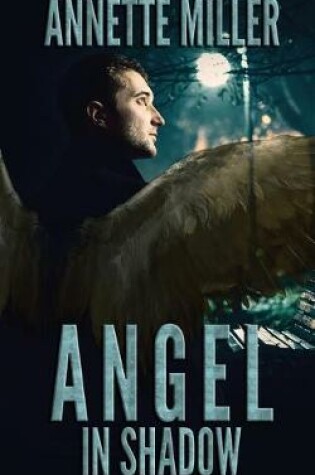 Cover of Angel in Shadow