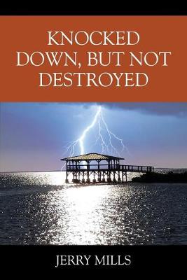 Book cover for Knocked Down, But Not Destroyed