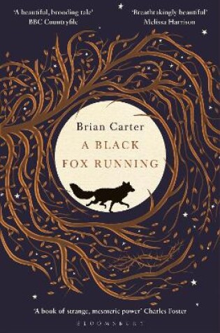 Cover of A Black Fox Running