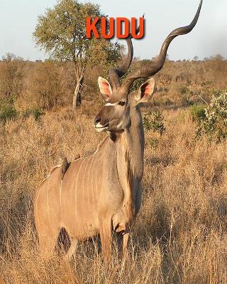 Book cover for Kudu