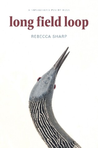 Cover of Long Field Loop