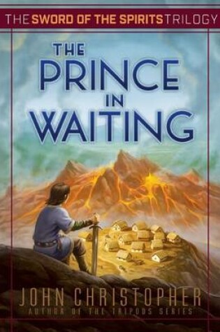 Cover of The Prince in Waiting, 1