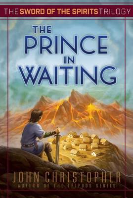 Book cover for The Prince in Waiting, 1