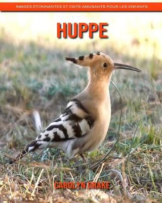 Book cover for Huppe
