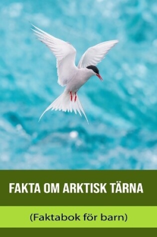 Cover of Fakta om Arktisk tärna (Faktabok för barn)
