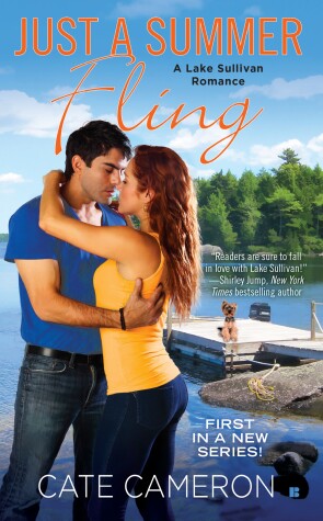 Cover of Just a Summer Fling