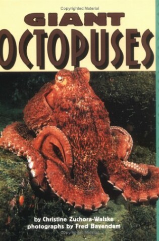 Cover of Giant Octopuses