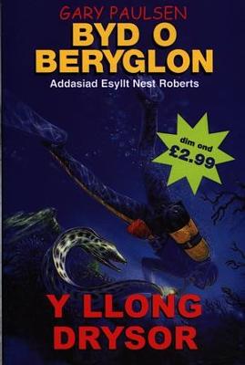 Book cover for Byd o Beryglon: 6. Llong Drysor, Y