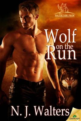 Book cover for Wolf on the Run