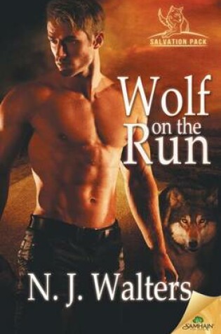 Cover of Wolf on the Run