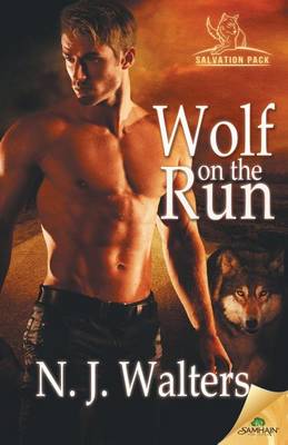 Book cover for Wolf on the Run