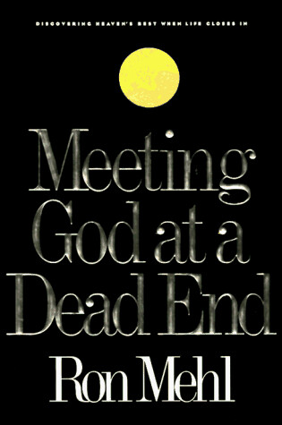 Cover of Meeting God at a Dead End